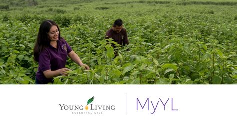 young living öle|Young Living MyYL.com